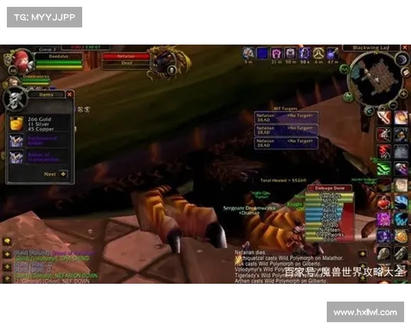 魔兽世界存档共享:畅享他人战绩